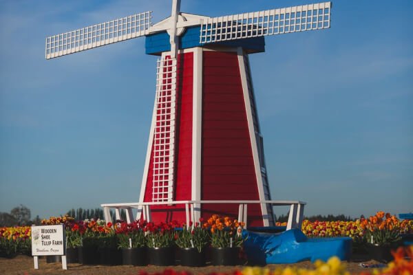 Budget Hotel Things To Do Img 6